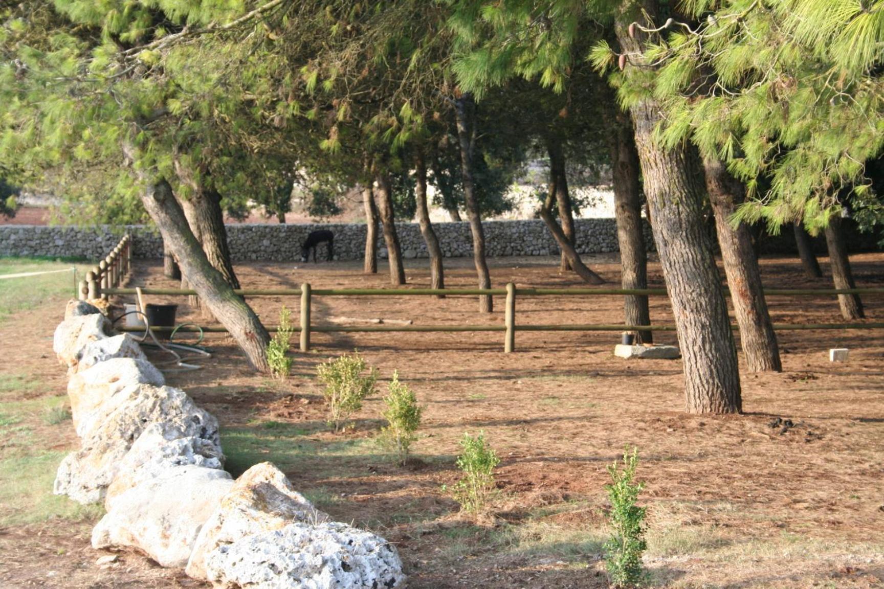 Masseria Autigne أوترانتو المظهر الخارجي الصورة