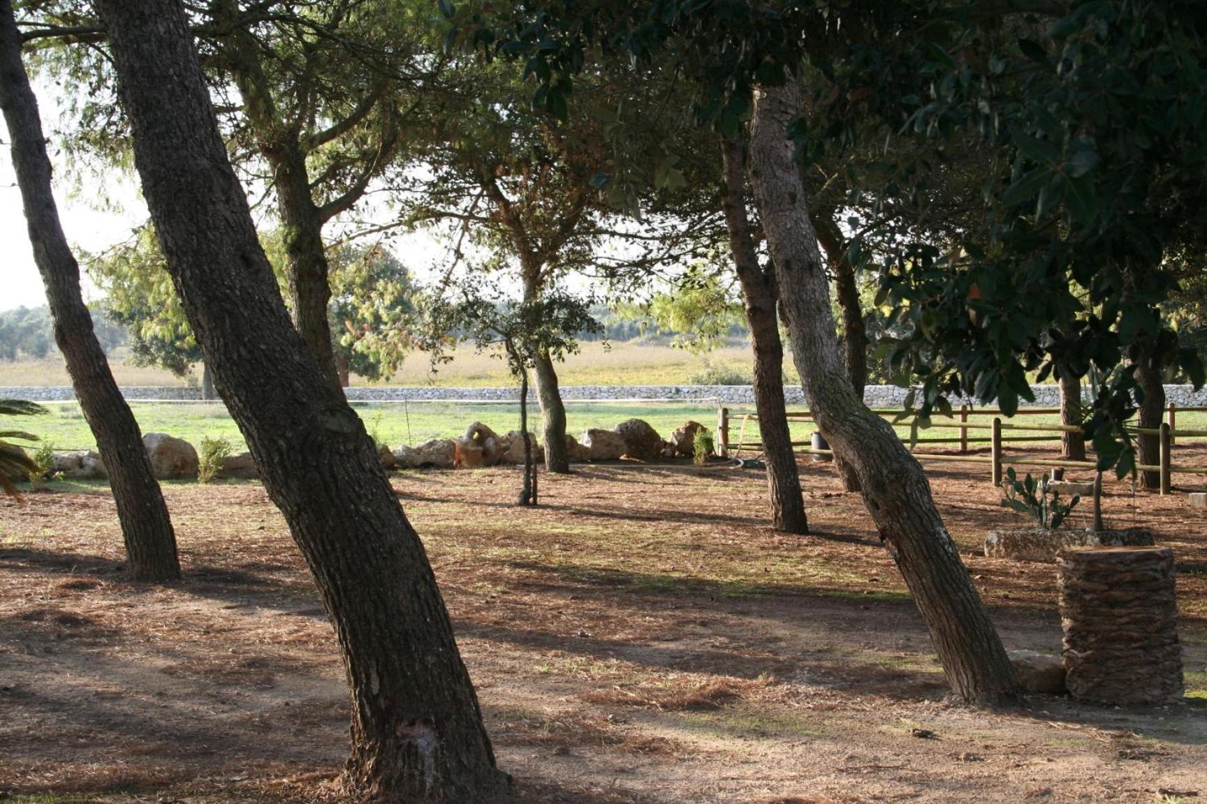 Masseria Autigne أوترانتو المظهر الخارجي الصورة